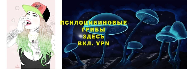 молекула духа Балахна