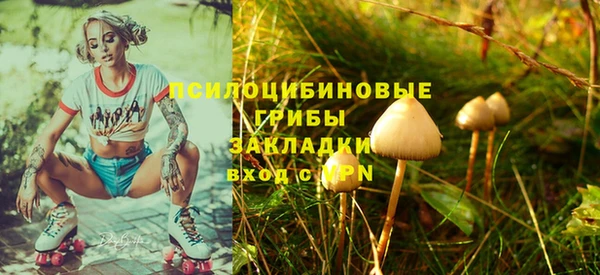 молекула духа Балахна