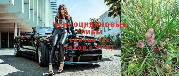 ГАЛЛЮЦИНОГЕННЫЕ ГРИБЫ Баксан